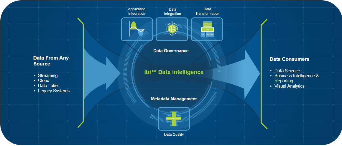 ibi Data intelligence graph