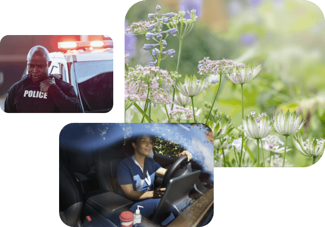 Compilation of 3 images