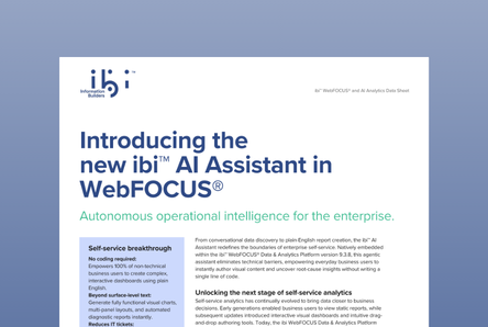 image of the WebFOCUS AI Assistant datasheet
